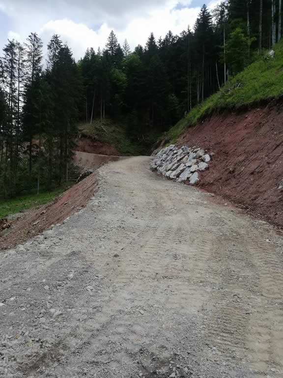FOTO 10a - Realizzazione e ripristino viabilità forestale - Pista Forestale Pierabeck - Forni Avoltri immagine NEW