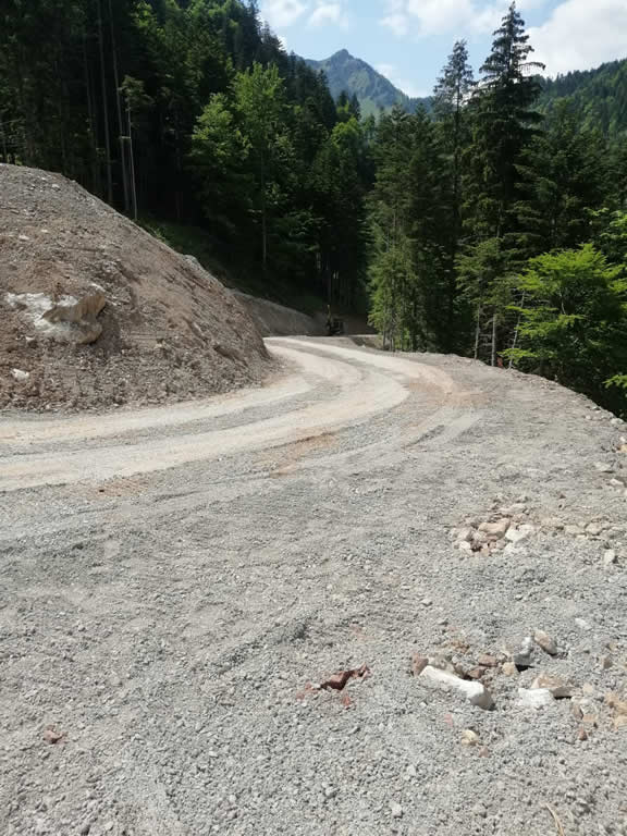 FOTO 10c - Realizzazione e ripristino viabilità forestale - Pista Forestale Pierabeck - Forni Avoltri immagine NEW