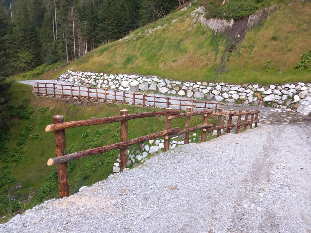 FOTO 11a - Realizzazione e ripristino viabilità forestale - Pista Forestale Pierabeck - Forni Avoltri immagine NEW