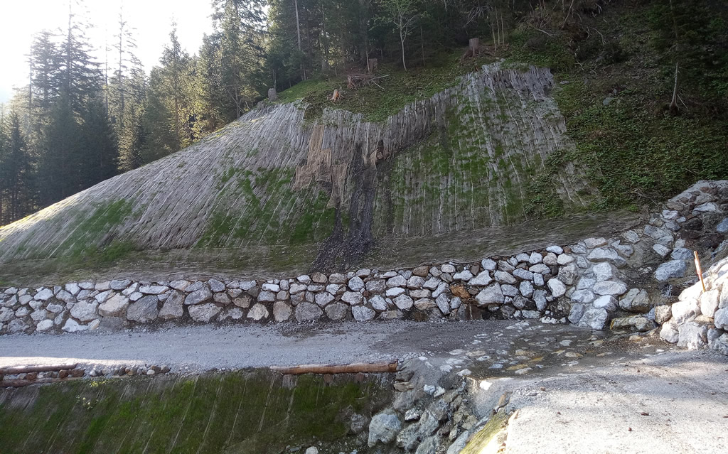 FOTO 11c - Realizzazione e ripristino viabilità forestale - Pista Forestale Pierabeck - Forni Avoltri immagine NEW